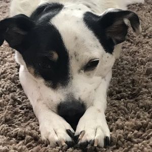 Meet your Posher, Heidi